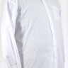 Мужская рубашка с длинным рукавом 17251104